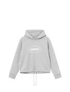 Cropped Merch Hoodie Cuera Grey