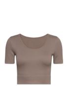 Onpjaia Life Ss 2-Way Crop Seam Top Noos Only Play Brown