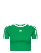 3 S Baby Tee Adidas Originals Green