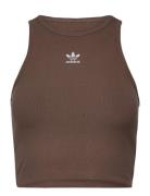 Rib Tank Adidas Originals Brown