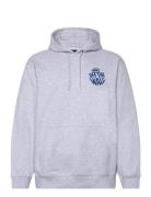 Vans Circle Loose Fit Fleece Po Hoodie VANS Grey