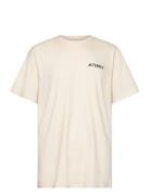 Terrex Back Graphic Tshirt Adidas Performance Cream