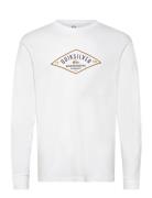 Qs Diamond Logo Ls Quiksilver White