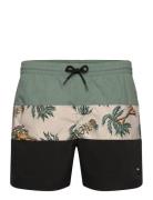 Mix & Match Cali Block 15'' Swim Shorts O'neill Blue