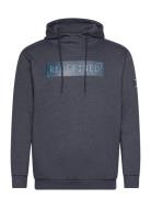 Sweeny M Hooded Sweatshirt Cruz Navy