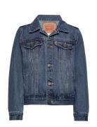 Levi's® Trucker Jacket Levi's Blue