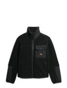 Expedition Borg Hybrid Superdry Black