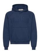 Hco. Guys Sweatshirts Hollister Blue