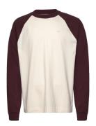 Hco. Guys Knits Hollister Cream