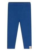 Legging Modal Petit Piao Blue