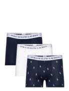 Bci Cotton/Elastane-3Pk-Trn Polo Ralph Lauren Underwear Navy