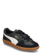 Palermo Lth Jr PUMA Black