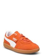 Palermo Ps PUMA Orange