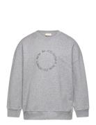 Sweat Shirt Haw Petit Piao Grey