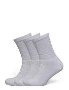 Tennis Socks 3-Pack Hound White