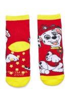 Socks Paw Patrol Red