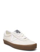 Sport Low VANS Cream