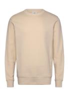 Plush Cotton Sweatshirt Mango Cream