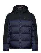 Hooded Jacket Champion Navy