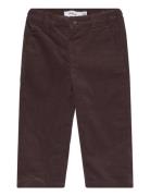 Nmmricord Pant Name It Brown