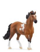 Schleich Mangalarga Marchador Stallion Schleich Patterned