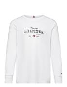 Monotype 1985 Reg Tee Ls Tommy Hilfiger White