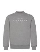 Tommy Hilfiger Sweatshirt Tommy Hilfiger Grey