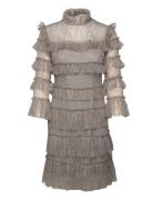 Carmine Frill Lace Mini Dress Malina Grey