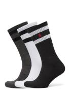 Athletic Crew Sock 3-Pack Polo Ralph Lauren Underwear Patterned