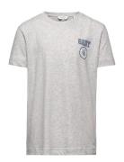 Gant 1949 T-Shirt GANT Grey