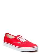 Ua Authentic VANS Red