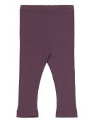 Leggings Rib Minymo Purple