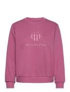 Reg Tonal Shield C-Neck Sweat GANT Pink