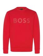 Salbo BOSS Red