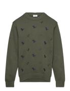 Hcpelle - Jumper Hust & Claire Khaki