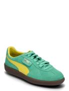 Palermo PUMA Green