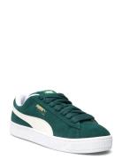 Suede Xl PUMA Green