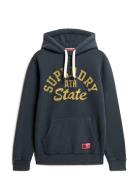 Track & Field Graphic Hoodie Superdry Blue