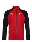 Teamliga Training Jacket PUMA Red