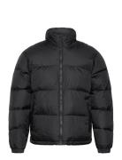 Hco. Guys Outerwear Hollister Black