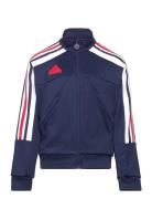 J Np Ttop Adidas Sportswear Navy