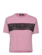 W Beam Top Sail Racing Pink