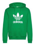 Adicolor Classics Trefoil Hoody Adidas Originals Green