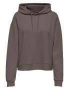 Onplounge Life Hood Ls Swt Noos Only Play Grey