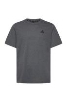 Tr-Es Fr T Adidas Performance Grey