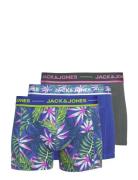 Jacpink Leaves Trunks 3 Pack Sn Jack & J S Blue