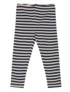 Tnstfro Uni Rib Leggings The New Navy