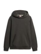 Essential Logo Hoodie Hb Superdry Black