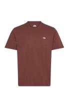 M Ss Mapleton Tee Dickies Brown
