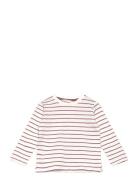 Striped Cotton T-Shirt Mango White